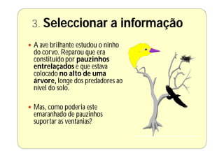3. Seleccionar a                   informação
 A ave brilhante estudou o ninho
  do corvo. Reparou que era
  constituído por pauzinhos
  entrelaçados e que estava
  colocado no alto de uma
  árvore, longe dos predadores ao
  nível do solo.

 Mas, como poderia este
  emaranhado de pauzinhos
  suportar as ventanias?
 