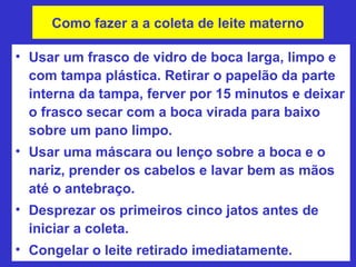 Como fazer a a coleta de leite materno

• Usar um frasco de vidro de boca larga, limpo e
  com tampa plástica. Retirar o papelão da parte
  interna da tampa, ferver por 15 minutos e deixar
  o frasco secar com a boca virada para baixo
  sobre um pano limpo.
• Usar uma máscara ou lenço sobre a boca e o
  nariz, prender os cabelos e lavar bem as mãos
  até o antebraço.
• Desprezar os primeiros cinco jatos antes de
  iniciar a coleta.
• Congelar o leite retirado imediatamente.
 