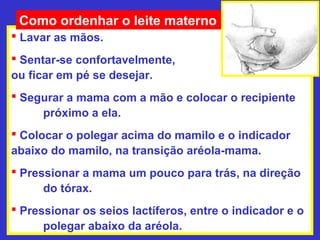 Como ordenhar o leite materno
 Lavar as mãos.
 Sentar-se confortavelmente,
ou ficar em pé se desejar.
 Segurar a mama com a mão e colocar o recipiente
     próximo a ela.
 Colocar o polegar acima do mamilo e o indicador
abaixo do mamilo, na transição aréola-mama.
 Pressionar a mama um pouco para trás, na direção
      do tórax.
 Pressionar os seios lactíferos, entre o indicador e o
      polegar abaixo da aréola.
 