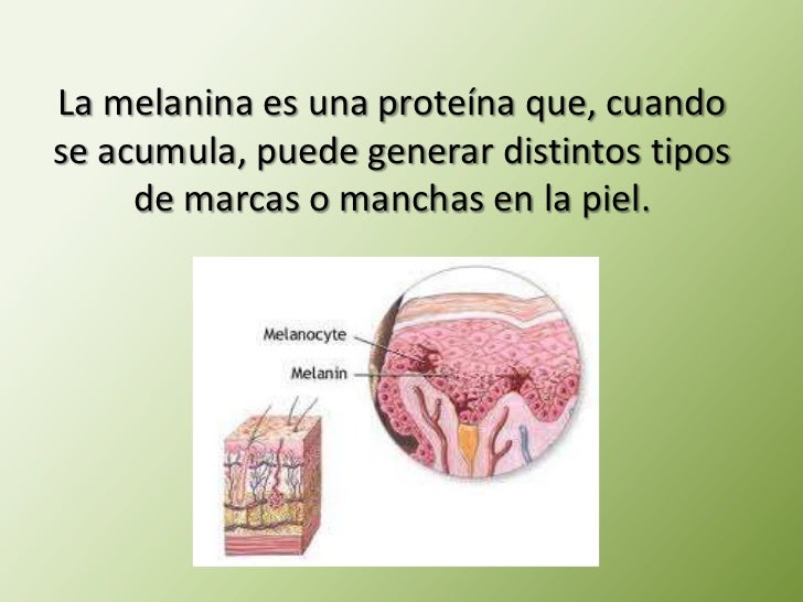 La máscara para la cutis del kiwi