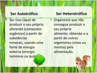 Ser vivo capaz de produzir o seu próprio alimento (compostos orgânicos) a partir de substâncias minerais, usando uma fonte de energia externa (energia luminosa ou química).Organismo que não consegue produzir o seu próprio alimento, obtendo-o a partir de outros organismos (vivos ou mortos) pela alimentação.Ser HeterotróficoSer Autotrófico