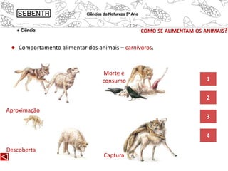 Como se alimentam os animais | PPTX