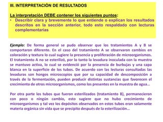 III. INTERPRETACIÓN DE RESULTADOS 
La interpretación DEBE contener los siguientes puntos: 
• Describir clara y brevemente lo que entiende o explican los resultados 
descritos en la sección anterior, todo esto respaldado con lecturas 
complementarias 
Ejemplo: De forma general se pudo observar que los tratamientos A y B se 
comportaron diferente. En el caso del tratamiento A se observaron cambios en 
coloración y textura lo cual sugiere la presencia y proliferación de microorganismos. 
El tratamiento A no se esterilizó, por lo tanto la levadura inoculada con la muestra 
se mantuvo activa, lo cual se evidenció por la presencia de burbujas y una capa 
blanca en la superficie de los tubos. De acuerdo con las lecturas consultadas las 
levaduras son hongos microscopios que por su capacidad de descomposición a 
través de la fermentación, pueden producir distintas sustancias que favorecen el 
crecimiento de otros microorganismos, como los presentes en la muestra de agua… 
Por otra parte los tubos que fueron esterilizados (tratamiento B), permanecieron 
con poco o ningún cambio, esto sugiere que no hubo crecimiento de 
microorganismos y tal vez los depósitos observados en estos tubos eran solamente 
materia orgánica sin vida que se precipito después de la esterilización… 
 