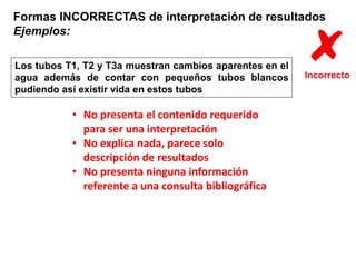 Formas INCORRECTAS de interpretación de resultados 
Ejemplos: 
Los tubos T1, T2 y T3a muestran cambios aparentes en el 
agua además de contar con pequeños tubos blancos 
pudiendo así existir vida en estos tubos 
• No presenta el contenido requerido 
para ser una interpretación 
• No explica nada, parece solo 
descripción de resultados 
• No presenta ninguna información 
referente a una consulta bibliográfica 
 