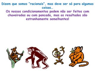 Dizem que somos “racionais”, mas deve ser só para algumas coisas… Os nossos condicionamentos podem não ser feitos com chuveiradas ou com pancada, mas os resultados são estranhamente semelhantes! 