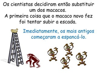 Os cientistas decidiram então substituir um dos macacos.  A primeira coisa que o macaco novo fez foi tentar subir a escada.  Imediatamente, os mais antigos começaram a espancá-lo. 