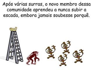 Após várias surras, o novo membro dessa comunidade aprendeu a nunca subir a escada, embora jamais soubesse porquê. 