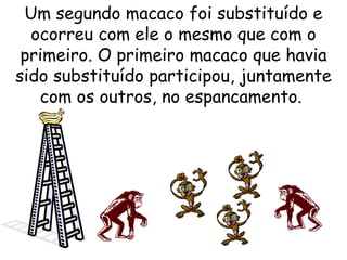 Um segundo macaco foi substituído e ocorreu com ele o mesmo que com o primeiro. O primeiro macaco que havia sido substituído participou, juntamente com os outros, no espancamento.  