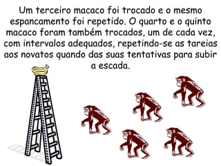 Um terceiro macaco foi trocado e o mesmo espancamento foi repetido. O quarto e o quinto macaco foram também trocados, um de cada vez, com intervalos adequados, repetindo-se as tareias aos novatos quando das suas tentativas para subir a escada. 