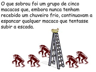 O que sobrou foi um grupo de cinco macacos que, embora nunca tenham recebido um chuveiro frio, continuavam a espancar qualquer macaco que tentasse subir a escada. 