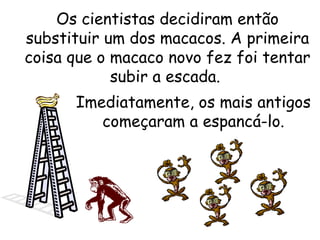 Os cientistas decidiram então substituir um dos macacos. A primeira coisa que o macaco novo fez foi tentar subir a escada.  Imediatamente, os mais antigos começaram a espancá-lo. 