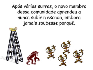 Após várias surras, o novo membro dessa comunidade aprendeu a nunca subir a escada, embora jamais soubesse porquê. 