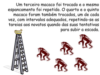 Um terceiro macaco foi trocado e o mesmo espancamento foi repetido. O quarto e o quinto macaco foram também trocados, um de cada vez, com intervalos adequados, repetindo-se as tareias aos novatos quando das suas tentativas para subir a escada. 