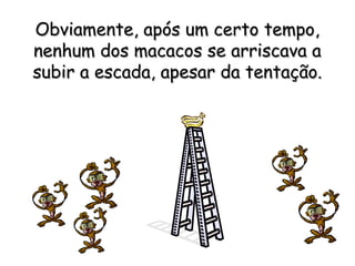 Obviamente, após um certo tempo,Obviamente, após um certo tempo,
nenhum dos macacos se arriscava anenhum dos macacos se arriscava a
subir a escada, apesar da tentação.subir a escada, apesar da tentação.
 