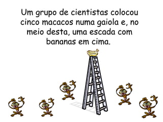 Um grupo de cientistas colocou
cinco macacos numa gaiola e, no
meio desta, uma escada com
bananas em cima.

 