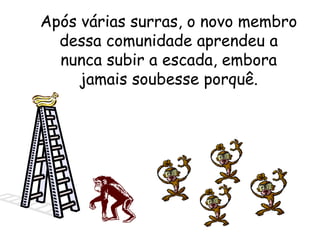 Após várias surras, o novo membro
dessa comunidade aprendeu a
nunca subir a escada, embora
jamais soubesse porquê.

 