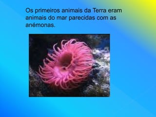 Os primeiros animais da Terra eram
animais do mar parecidas com as
anémonas.
 
