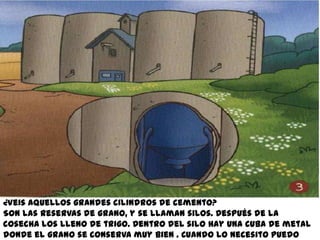 ¿Veis aquellos grandes cilindros de cemento?
Son las reservas de grano, y se llaman silos. Después de la
cosecha los lleno de trigo. Dentro del silo hay una cuba de metal
donde el grano se conserva muy bien . Cuando lo necesito puedo
 