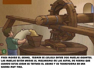 Para mover el grano, Fermín se coloca entre dos muelas gigantes.
Las muelas están unidas al mecanismo de las aspas, de forma que
cuando estas giran se tritura el grano y se transforma en una
harina muy fina.
 
