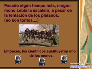 Pasado algún tiempo más, ningún
mono subía la escalera, a pesar de
la tentación de los plátanos.
(no son tontos....)




Entonces, los científicos sustituyeron uno
               de los monos.
 