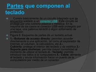 Partes que componen al
teclado
    Consta básicamente de un circuito integrado que se
  encuentra soldado a un conector USB. Este circuito se
  protege por una cubierta plástica o metálica. En la
  mayoría de los casos el conector USB está protegido por
  una tapa, una palanca retráctil ó algún aditamento de
  protección.
 Figura 8. Esquema de partes de un teclado actual.
 1.- Botones de acceso directo: permiten acceder
  directamente a una aplicación, tal como el explorador de
  Internet, el volumen, la calculadora, etc.2.-
  Cubierta: protege el interior del teclado y da estética.3.-
  Soporte para muñecas: permite mayor comodidad al
  momento de utilizar el teclado.4.- Teclado: permite
  introducir los datos a la computadora.5.- Cable: alimenta
  al teclado y envía información hacia un puerto de la
  computadora por medio de un conector.
 