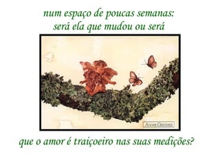 num espaço de poucas semanas: será ela que mudou ou será que o amor é traiçoeiro nas suas medições?  