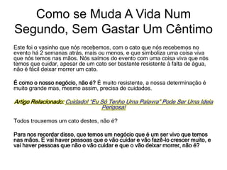 Este foi o vasinho que nós recebemos, com o cato que nós recebemos no
evento há 2 semanas atrás, mais ou menos, e que simboliza uma coisa viva
que nós temos nas mãos. Nós saímos do evento com uma coisa viva que nós
temos que cuidar, apesar de um cato ser bastante resistente à falta de água,
não é fácil deixar morrer um cato.
É como o nosso negócio, não é? É muito resistente, a nossa determinação é
muito grande mas, mesmo assim, precisa de cuidados.
Artigo Relacionado: Cuidado! “Eu Só Tenho Uma Palavra” Pode Ser Uma Ideia
Perigosa!
Todos trouxemos um cato destes, não é?
Para nos recordar disso, que temos um negócio que é um ser vivo que temos
nas mãos. E vai haver pessoas que o vão cuidar e vão fazê-lo crescer muito, e
vai haver pessoas que não o vão cuidar e que o vão deixar morrer, não é?
Como se Muda A Vida Num
Segundo, Sem Gastar Um Cêntimo
 