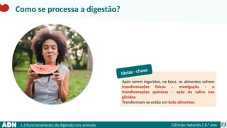 1.2 Funcionamento da digestão nos animais Ciências Naturais | 6.° ano
Após serem ingeridos, na boca, os alimentos sofrem
transformações físicas – mastigação – e
transformações químicas – ação da saliva nos
glícidos.
Transformam-se então em bolo alimentar.
Ideias - chave
Como se processa a digestão?
 