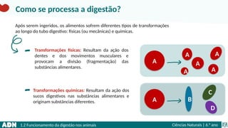 1.2 Funcionamento da digestão nos animais Ciências Naturais | 6.° ano
Como se processa a digestão?
Após serem ingeridos, os alimentos sofrem diferentes tipos de transformações
ao longo do tubo digestivo: físicas (ou mecânicas) e químicas.
Transformações físicas: Resultam da ação dos
dentes e dos movimentos musculares e
provocam a divisão (fragmentação) das
substâncias alimentares.
Transformações químicas: Resultam da ação dos
sucos digestivos nas substâncias alimentares e
originam substâncias diferentes.
A
A
A
A
A
A
A B
C
D
 