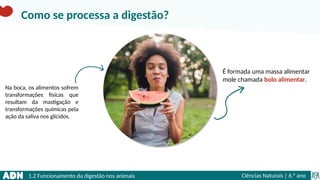 1.2 Funcionamento da digestão nos animais Ciências Naturais | 6.° ano
É formada uma massa alimentar
mole chamada bolo alimentar.
Na boca, os alimentos sofrem
transformações físicas que
resultam da mastigação e
transformações químicas pela
ação da saliva nos glícidos.
Como se processa a digestão?
 