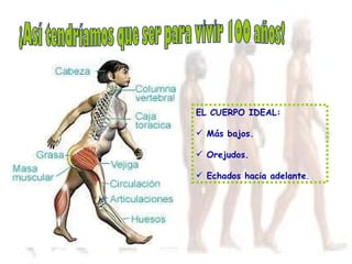 ¡Así tendríamos que ser para vivir 100 años! EL CUERPO IDEAL: Más bajos. Orejudos. Echados hacia adelante . 