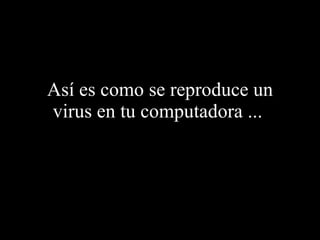 Así es como se reproduce un virus en tu computadora ...  