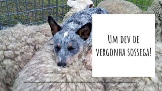 Um dev de
vergonha sossega!
http://s2.glbimg.com/uc9U9ARb1vIZNqk2gQmjIDuRPjw=/1200x630/s.glbimg.com/jo/g1/f/original/2015/04/28/cao-malandro.jpg
 