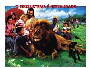 O ECOSSISTEMA É RESTAURADO 