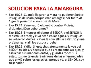 SOLUCION PARA LA AMARGURA
• Exo 15:23 Cuando llegaron a Mara no pudieron beber
las aguas de Mara porque eran amargas; por tanto al
lugar le pusieron el nombre de Mara.
• Exo 15:24 Y murmuró el pueblo contra Moisés,
diciendo: ¿Qué beberemos?
• Exo 15:25 Entonces él clamó al SEÑOR, y el SEÑOR le
mostró un árbol; y él lo echó en las aguas, y las aguas
se volvieron dulces. Y Dios les dio allí un estatuto y una
ordenanza, y allí los puso a prueba.
• Exo 15:26 Y dijo: Si escuchas atentamente la voz del
SEÑOR tu Dios, y haces lo que es recto ante sus ojos, y
escuchas sus mandamientos, y guardas todos sus
estatutos, no te enviaré ninguna de las enfermedades
que envié sobre los egipcios; porque yo, el SEÑOR, soy
tu sanador.

 