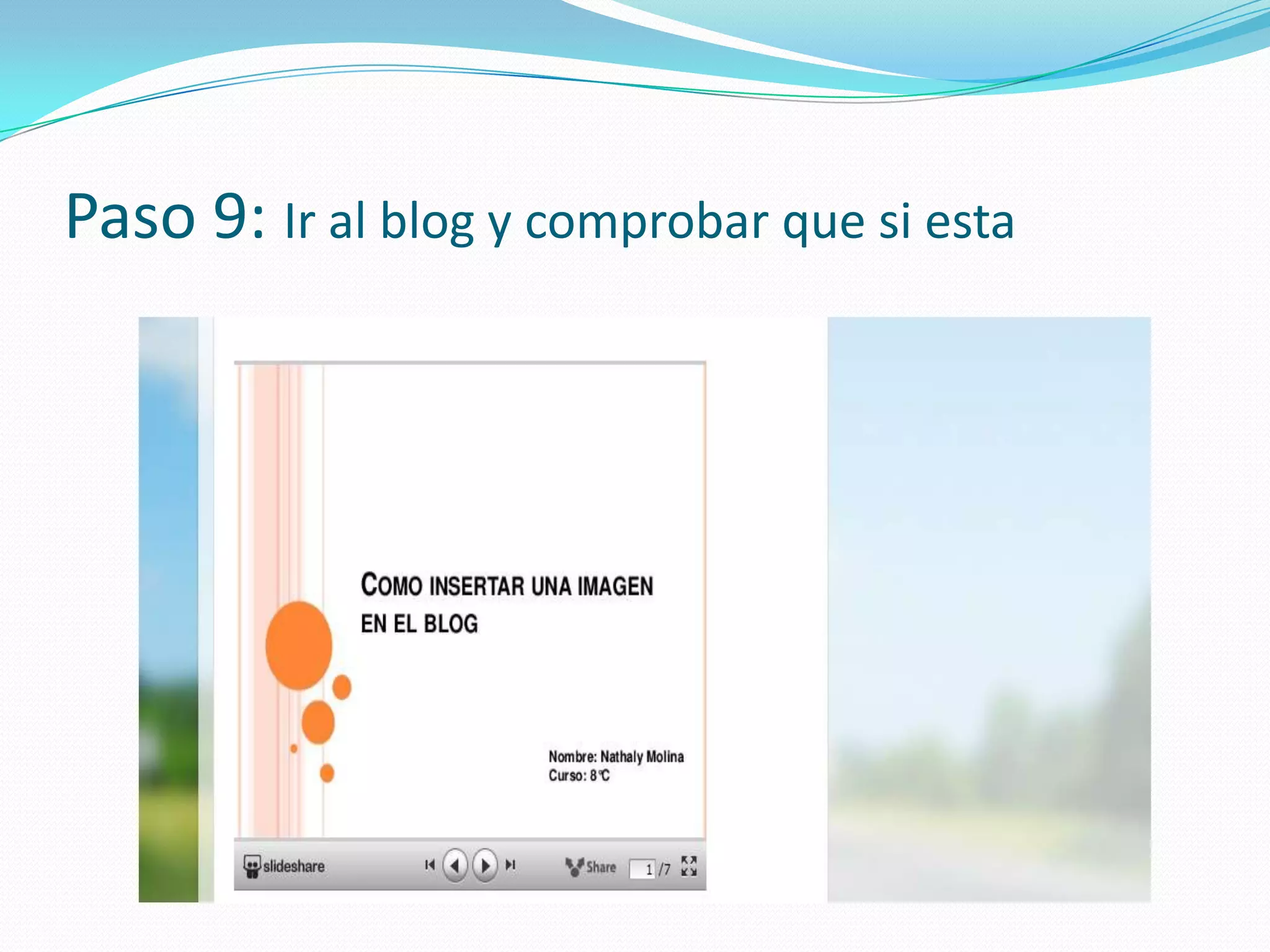 Paso 9: Ir al blog y comprobar que si esta