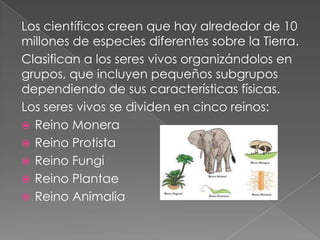 Los científicos creen que hay alrededor de 10
millones de especies diferentes sobre la Tierra.
Clasifican a los seres vivos organizándolos en
grupos, que incluyen pequeños subgrupos
dependiendo de sus características físicas.
Los seres vivos se dividen en cinco reinos:
 Reino Monera
 Reino Protista
 Reino Fungi
 Reino Plantae
 Reino Animalia

 