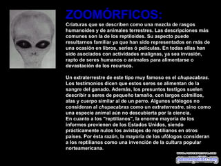 ZOOMÓRFICOS: Criaturas que se describen como una mezcla de rasgos humanoides y de animales terrestres. Las descripciones más comunes son la de los reptiloides. Su aspecto puede resultarnos familiar ya que han sido representados en más de una ocasión en libros, series ó películas. En todas ellas han sido asociados con actividades malignas, ya sea invasión, rapto de seres humanos o animales para alimentarse o devastación de los recursos. Un extraterrestre de este tipo muy famoso es el  chupacabras . Los testimonios dicen que estos seres se alimentan de la sangre del ganado. Además, los presuntos testigos suelen describir a seres de pequeño tamaño, con largos colmillos, alas y cuerpo similar al de un perro. Algunos ufólogos no consideran al  chupacabras  como un  extraterrestre , sino como una especie animal aún no descubierta por la ciencia. En cuanto a los "reptilianos", la enorme mayoría de los informes provienen de los Estados Unidos, siendo prácticamente nulos los avistajes de reptilianos en otros países. Por ésta razón, la mayoría de los ufólogos consideran a los reptilianos como una invención de la cultura popular norteamericana. 