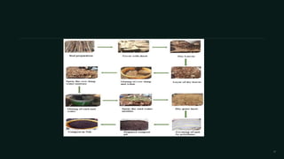 compost and methods of composting ,its uses. pdf | PDF