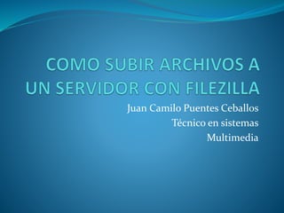 Juan Camilo Puentes Ceballos
Técnico en sistemas
Multimedia
 