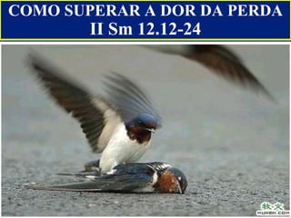COMO SUPERAR A DOR DA PERDA II Sm 12.12-24 