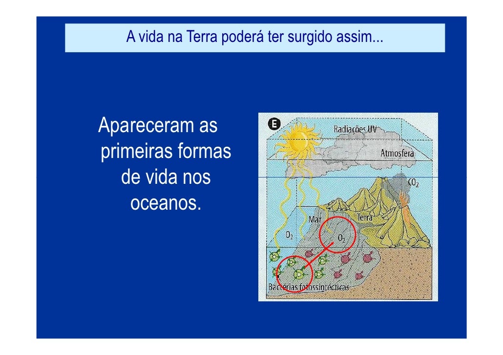 Onde Surgiram As Primeiras Formas De Vida