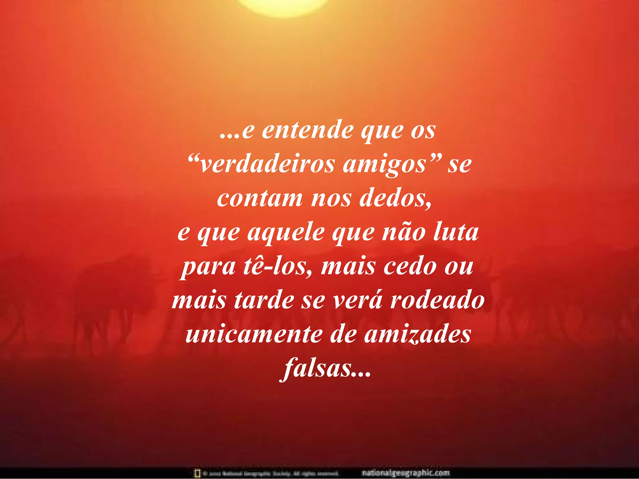 ...e entende que os “verdadeiros amigos” se contam nos dedos,  e que aquele que não luta para tê-los, mais cedo ou mais tarde se verá rodeado unicamente de amizades falsas... 