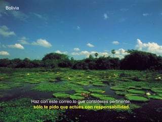 Bolivia Haz con este correo lo que consideres pertinente,  sólo te pido que actúes con responsabilidad . 