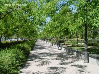 Parque en Valencia 