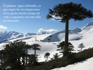 El planeta sigue sufriendo, ya
que según las investigaciones
no le queda mucho tiempo de
vida si seguimos con este afán
de destruirlo.
 