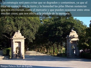 . La estrategia será para evitar que se degraden y contaminen, ya que al
estar en contacto con la tierra y la humedad las pilas liberan sustancias
que nos envenenan, como el mercurio y que pueden ocasionar entre otras
muchas cosas, que nos afecta a la pérdida de la memoria.
Parque Palacio Real de España
 