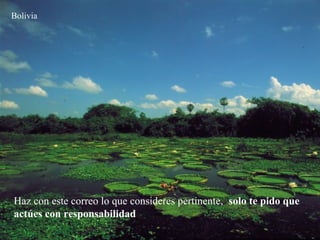 Bolivia
Haz con este correo lo que consideres pertinente, solo te pido que
actúes con responsabilidad.
 