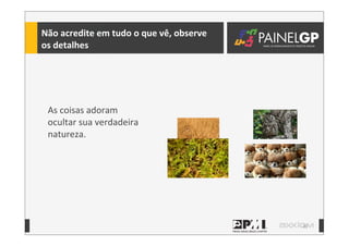 30
Não	
  acredite	
  em	
  tudo	
  o	
  que	
  vê,	
  observe	
  
os	
  detalhes
As	
  coisas	
  adoram	
  
ocultar	
  sua	
  verdadeira	
  
natureza.
 