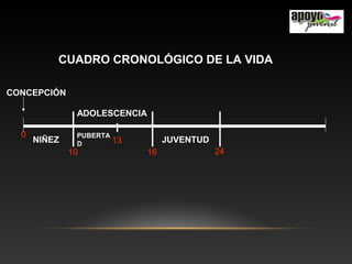 NIÑEZ
ADOLESCENCIA
JUVENTUD
PUBERTA
D
CUADRO CRONOLÓGICO DE LA VIDA
CONCEPCIÓN
0
10 16 24
13
 